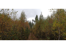 IMG 20211002 114008.jpg