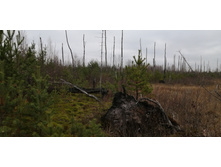 IMG 20211030 115304.jpg