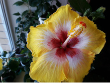 ������ No1