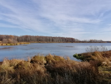 IMG 20211017 103223.jpg