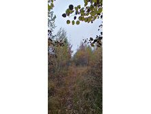 IMG 20211002 110516.jpg