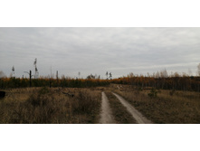 IMG 20211016 102201.jpg