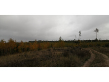 IMG 20211002 102126.jpg