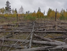 IMG 20211002 102453.jpg