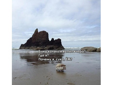 ������� � ����� �����? ��� �? ������ � ��?