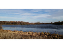 IMG 20211017 110325.jpg