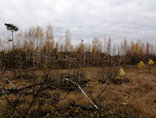 IMG 20211016 112539.jpg