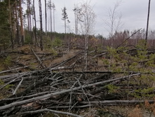 IMG 20211030 133728.jpg