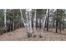 IMG 20211030 102028.jpg