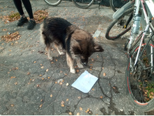 20211023 ��̣��� ��� 102243.jpg