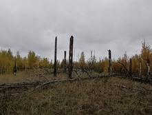 IMG 20211002 105926.jpg