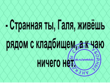 IMG 20211007 141956.jpg