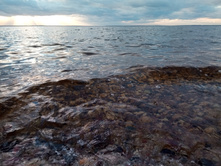 20211023 ��̣��� ��� 155541.jpg