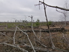 IMG 20211030 120454.jpg