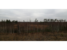 IMG 20211030 121902.jpg