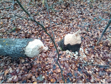 20211023 ��̣��� ��� 115618.jpg