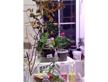 IMG 20211013 185415 4.jpg