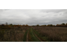 IMG 20211002 151007.jpg