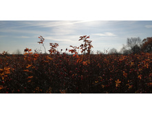 IMG 20211017 101101.jpg