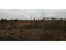 IMG 20211030 121654.jpg