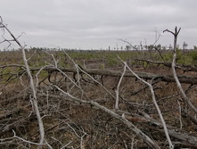 IMG 20211030 120501.jpg