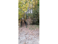 IMG 20211002 153724.jpg