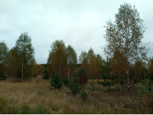 20211002 �����BikeTrip 111736.jpg