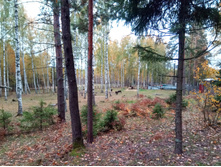 20211002 �����BikeTrip 114145.jpg