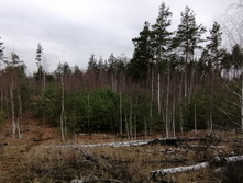 IMG 20211030 130601.jpg