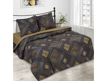 ������ ������ 220 ��