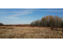 IMG 20211017 100948.jpg