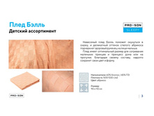 ����������� ���������� PROSON 28.jpg