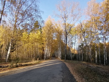 IMG 20211009 155806.jpg