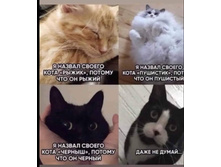 ���� �� �����!