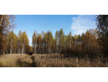 IMG 20211009 150745.jpg