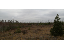 IMG 20211030 121913.jpg