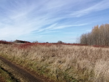 IMG 20211017 101400.jpg