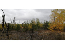 IMG 20211002 104513.jpg