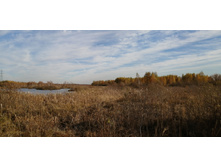 IMG 20211009 134409.jpg