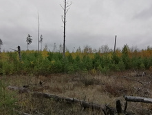 IMG 20211002 103241.jpg