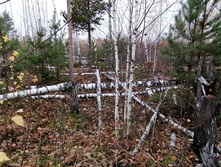 IMG 20211016 112054.jpg