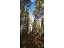 IMG 20211009 143212.jpg