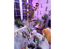 IMG 20211013 175505 1.jpg
