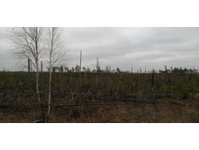 IMG 20211030 120857.jpg