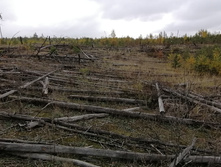 IMG 20211002 102436.jpg