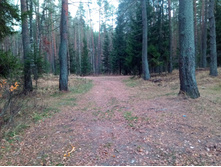 20211023 ��̣��� ��� 130346.jpg