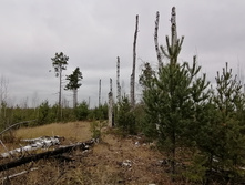 IMG 20211030 113638.jpg