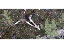 IMG 20211030 125322.jpg