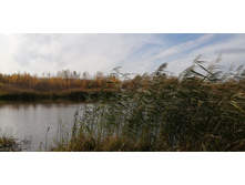 IMG 20211017 131056.jpg