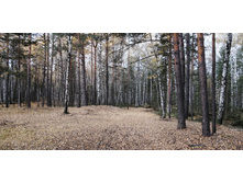 IMG 20211016 094532.jpg